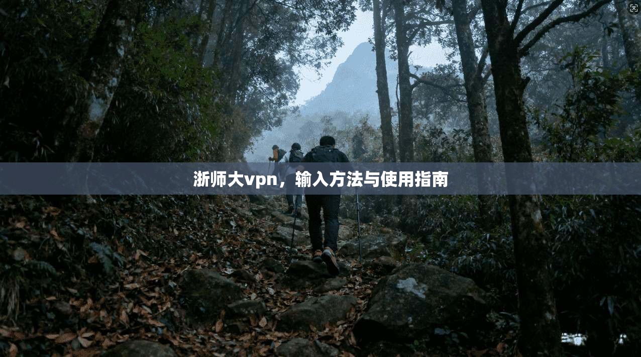 浙师大vpn，输入方法与使用指南