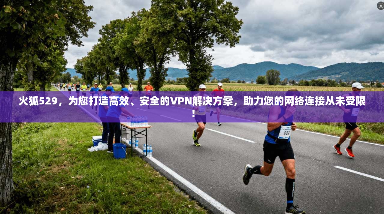 火狐529，为您打造高效、安全的VPN解决方案，助力您的网络连接从未受限！