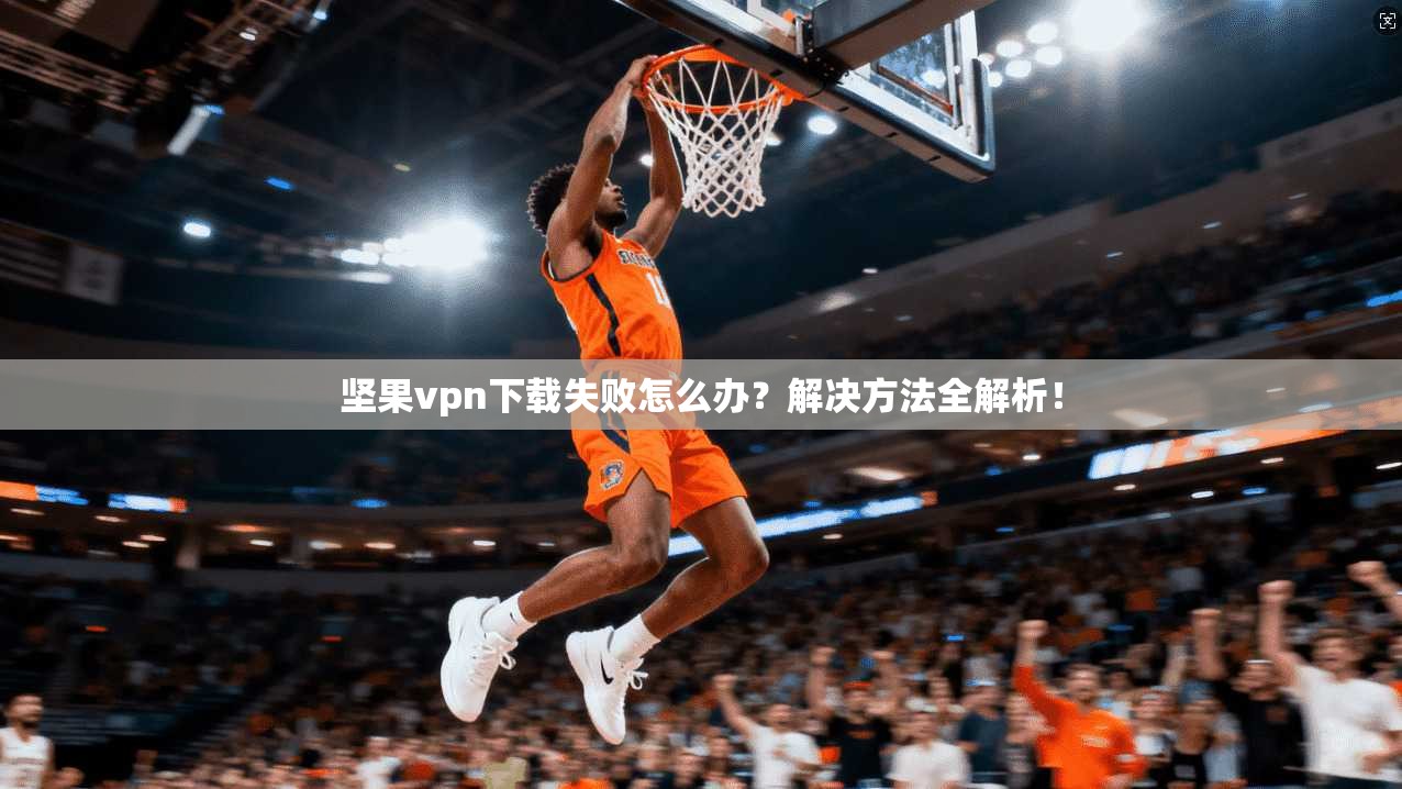 坚果vpn下载失败怎么办？解决方法全解析！