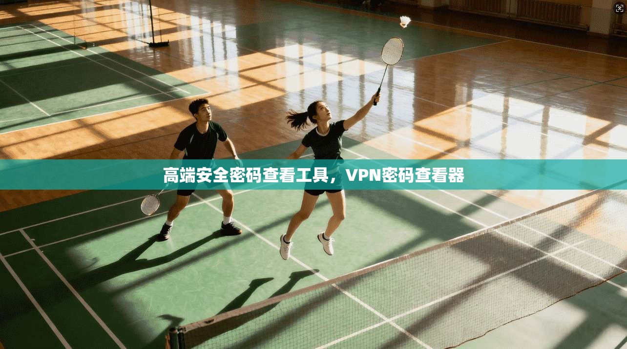 高端安全密码查看工具，VPN密码查看器