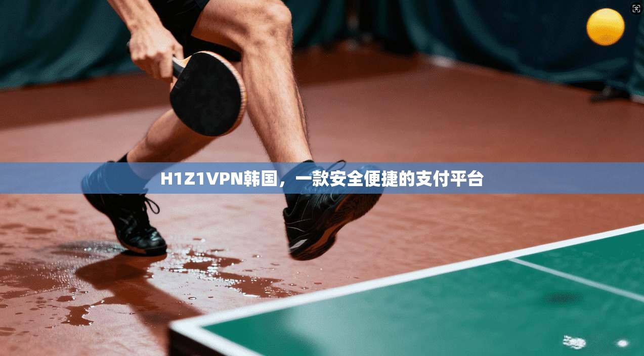 H1Z1VPN韩国，一款安全便捷的支付平台