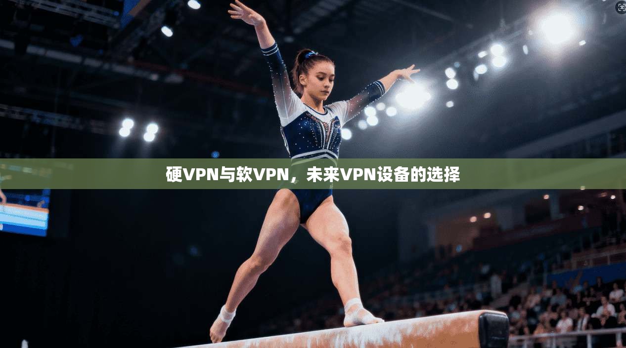 硬VPN与软VPN，未来VPN设备的选择