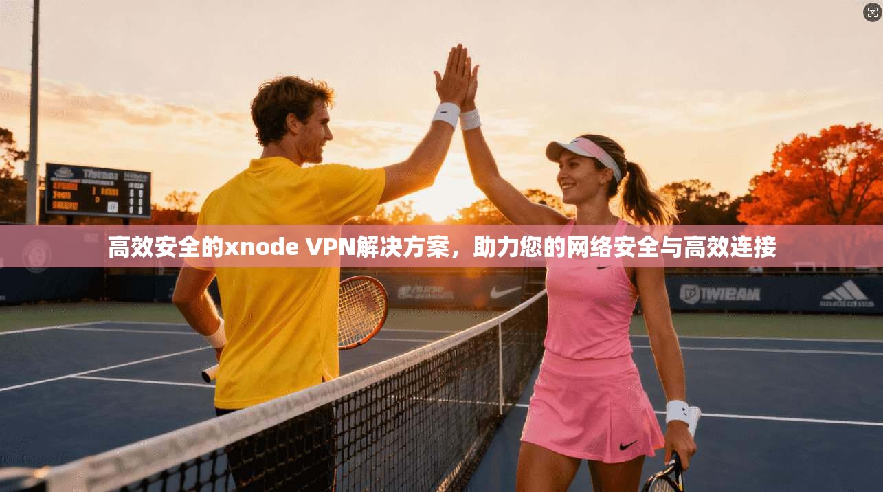 高效安全的xnode VPN解决方案，助力您的网络安全与高效连接