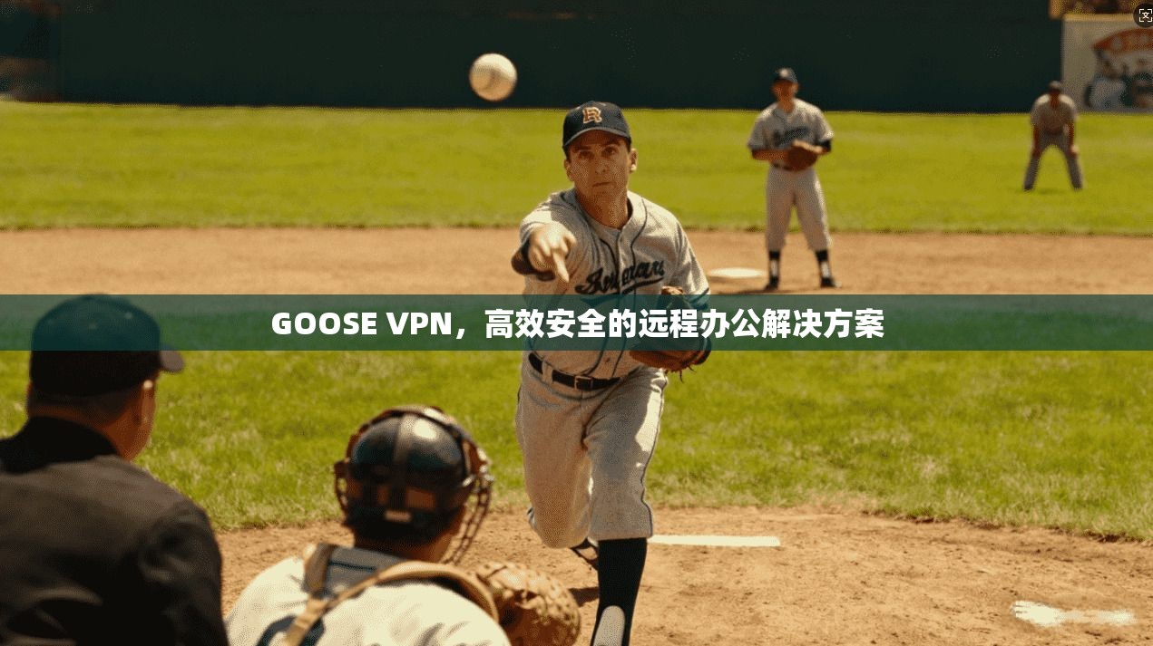 GOOSE VPN，高效安全的远程办公解决方案