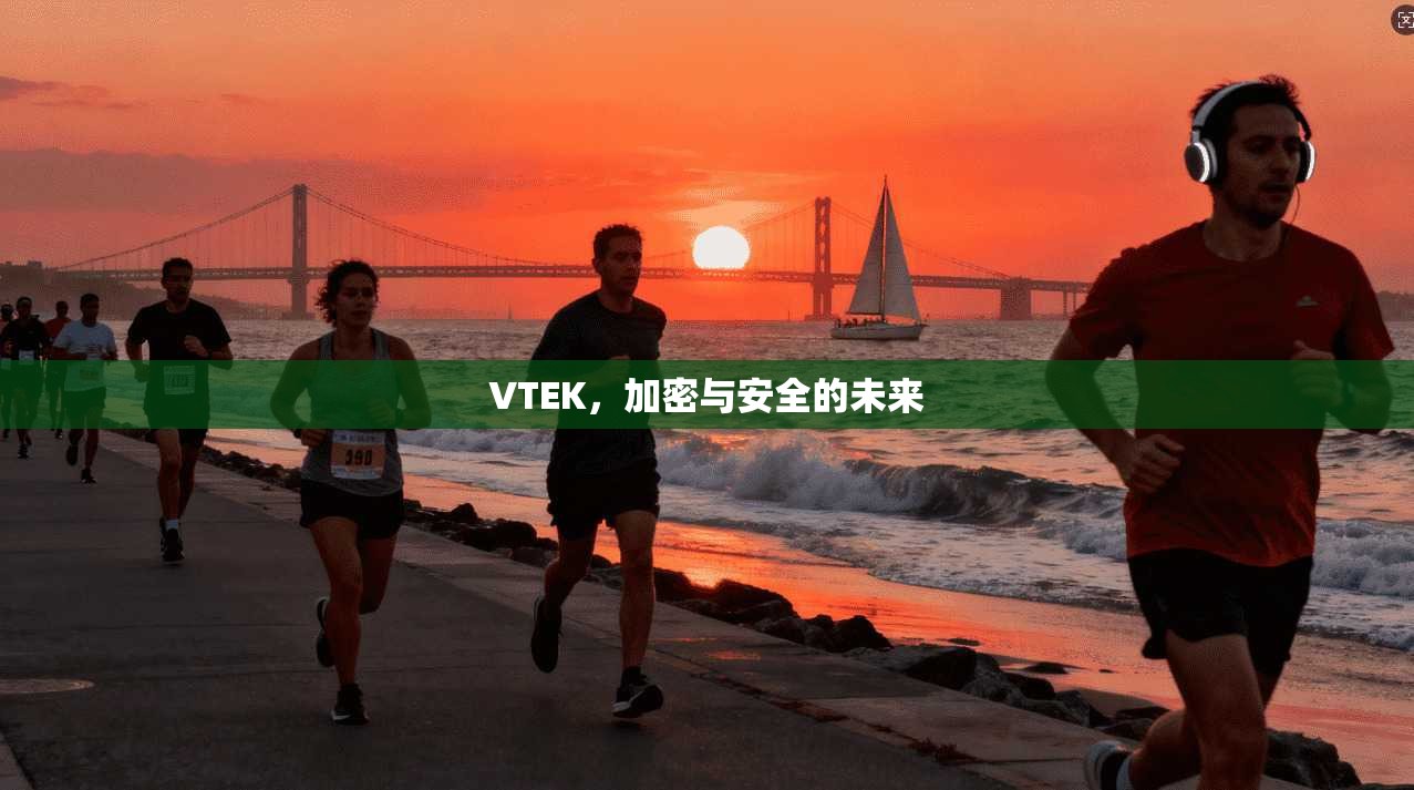 VTEK，加密与安全的未来