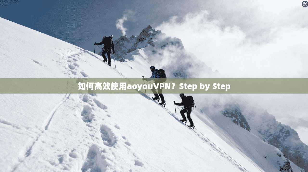 如何高效使用aoyouVPN？Step by Step