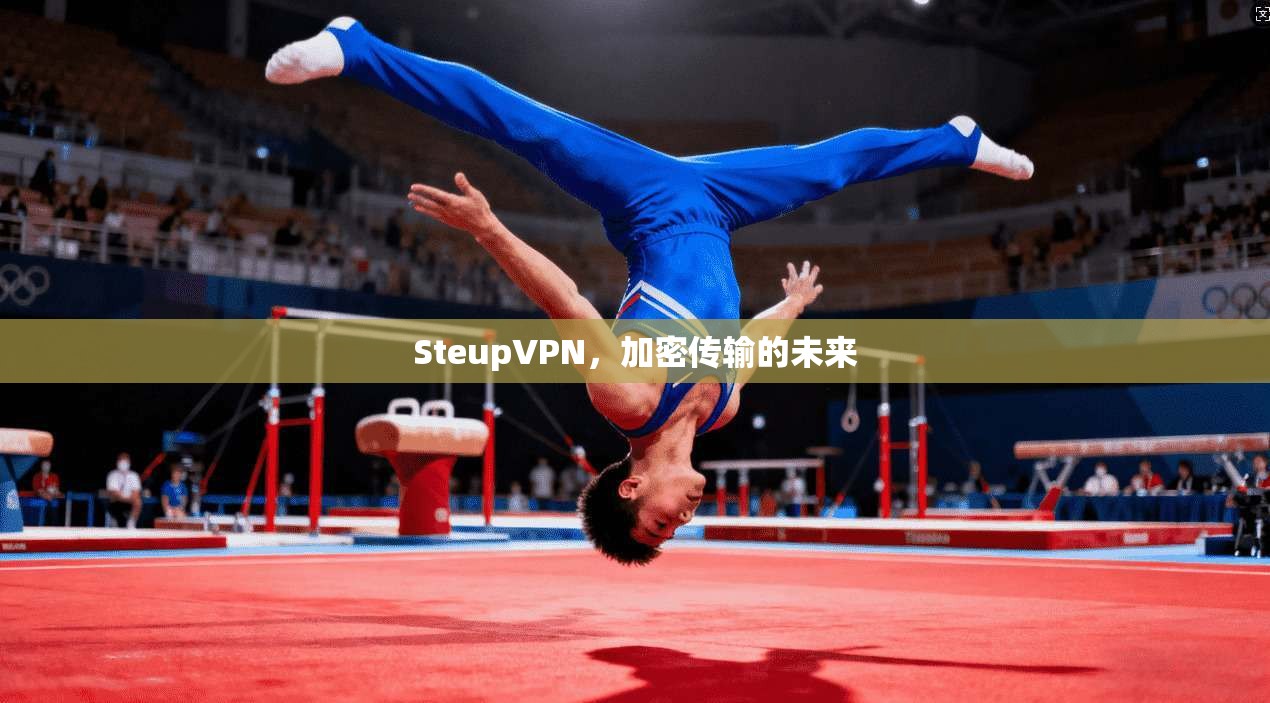 SteupVPN，加密传输的未来