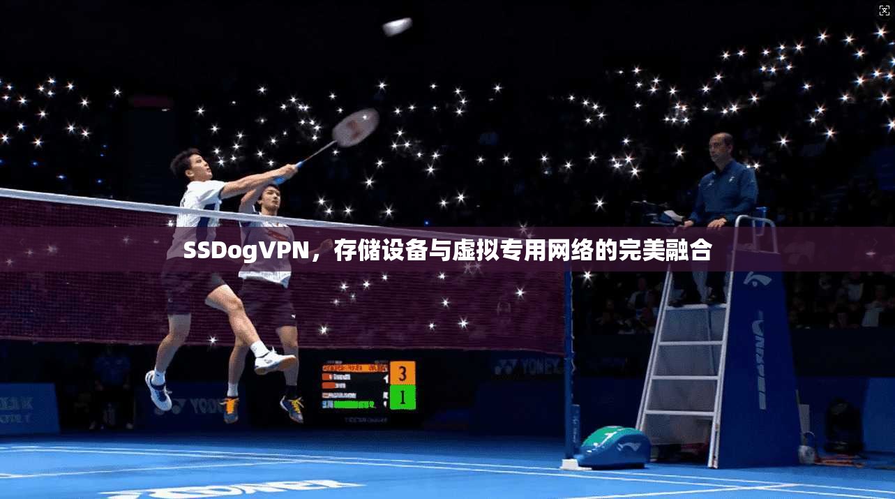 SSDogVPN，存储设备与虚拟专用网络的完美融合