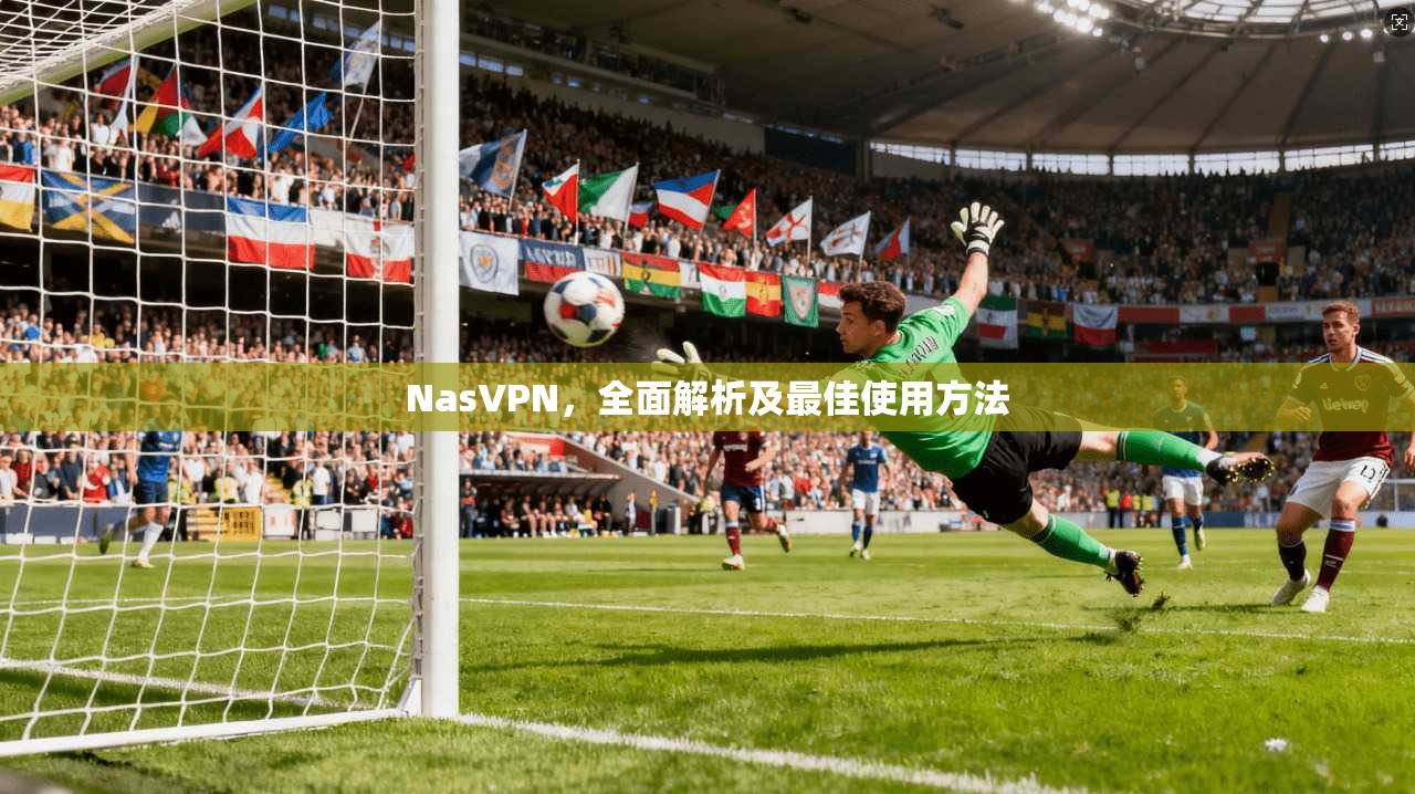 NasVPN，全面解析及最佳使用方法