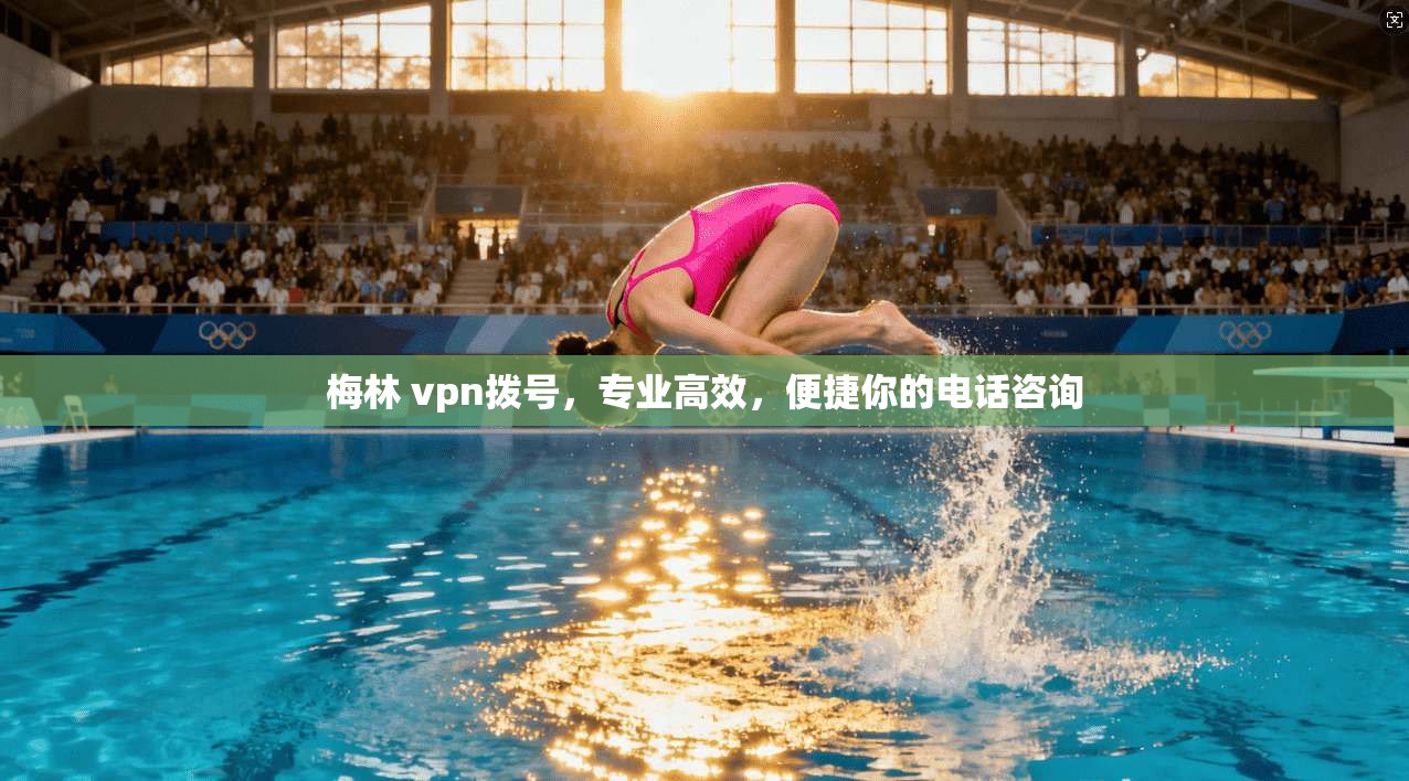 梅林 vpn拨号，专业高效，便捷你的电话咨询