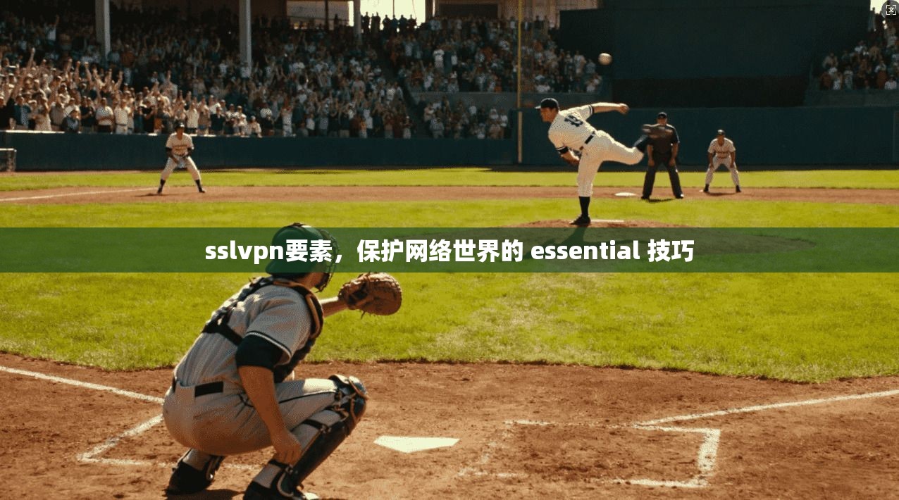 sslvpn要素，保护网络世界的 essential 技巧