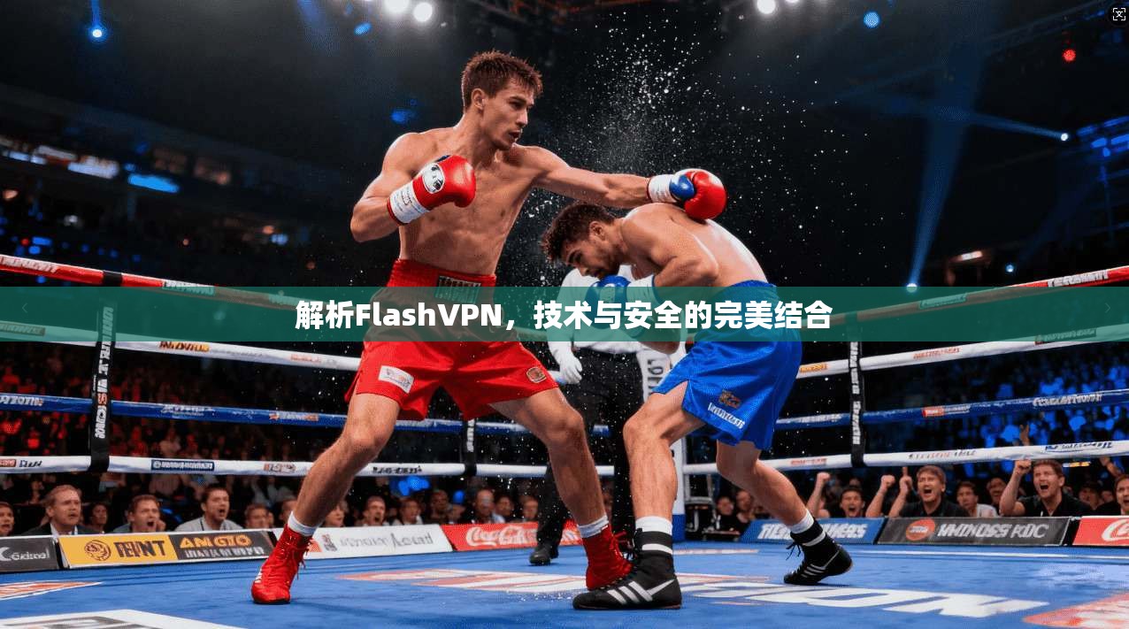 解析FlashVPN，技术与安全的完美结合