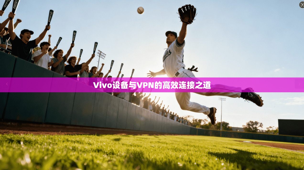 Vivo设备与VPN的高效连接之道