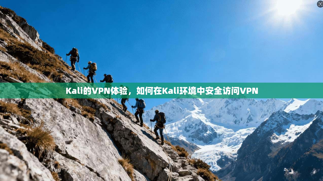 Kali的VPN体验，如何在Kali环境中安全访问VPN