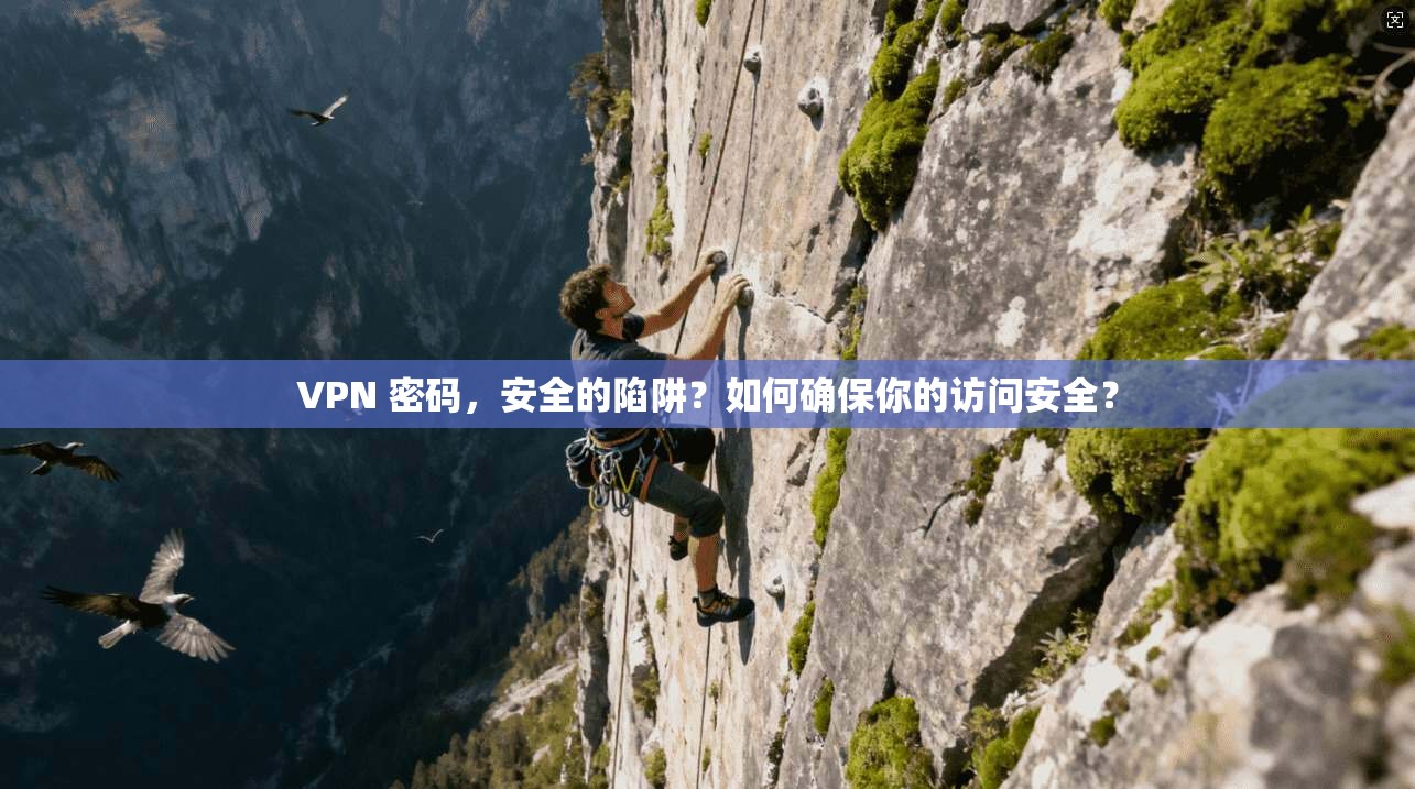 VPN 密码，安全的陷阱？如何确保你的访问安全？
