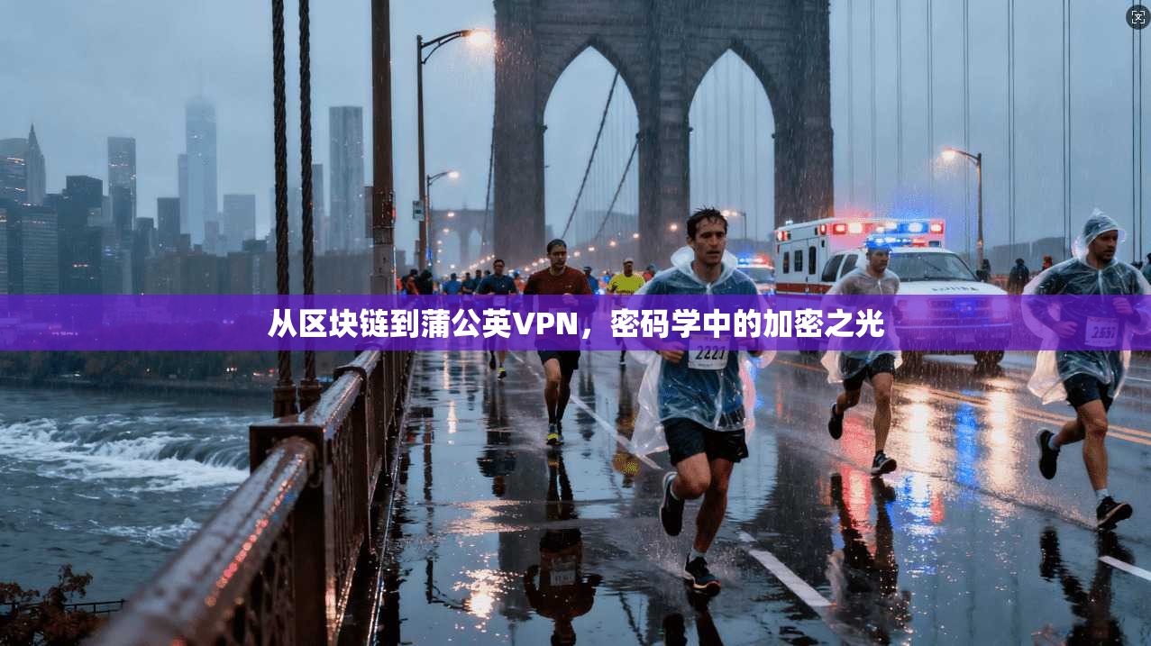 从区块链到蒲公英VPN，密码学中的加密之光