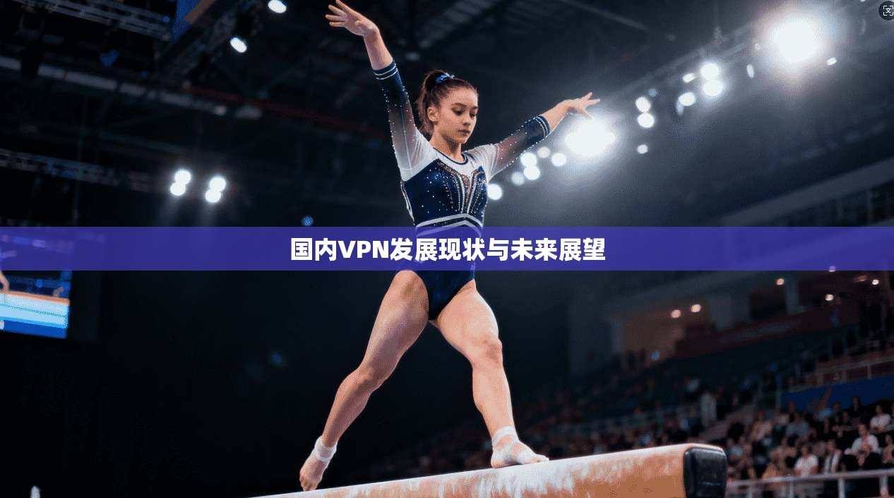国内VPN发展现状与未来展望