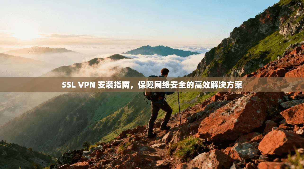 SSL VPN 安装指南，保障网络安全的高效解决方案