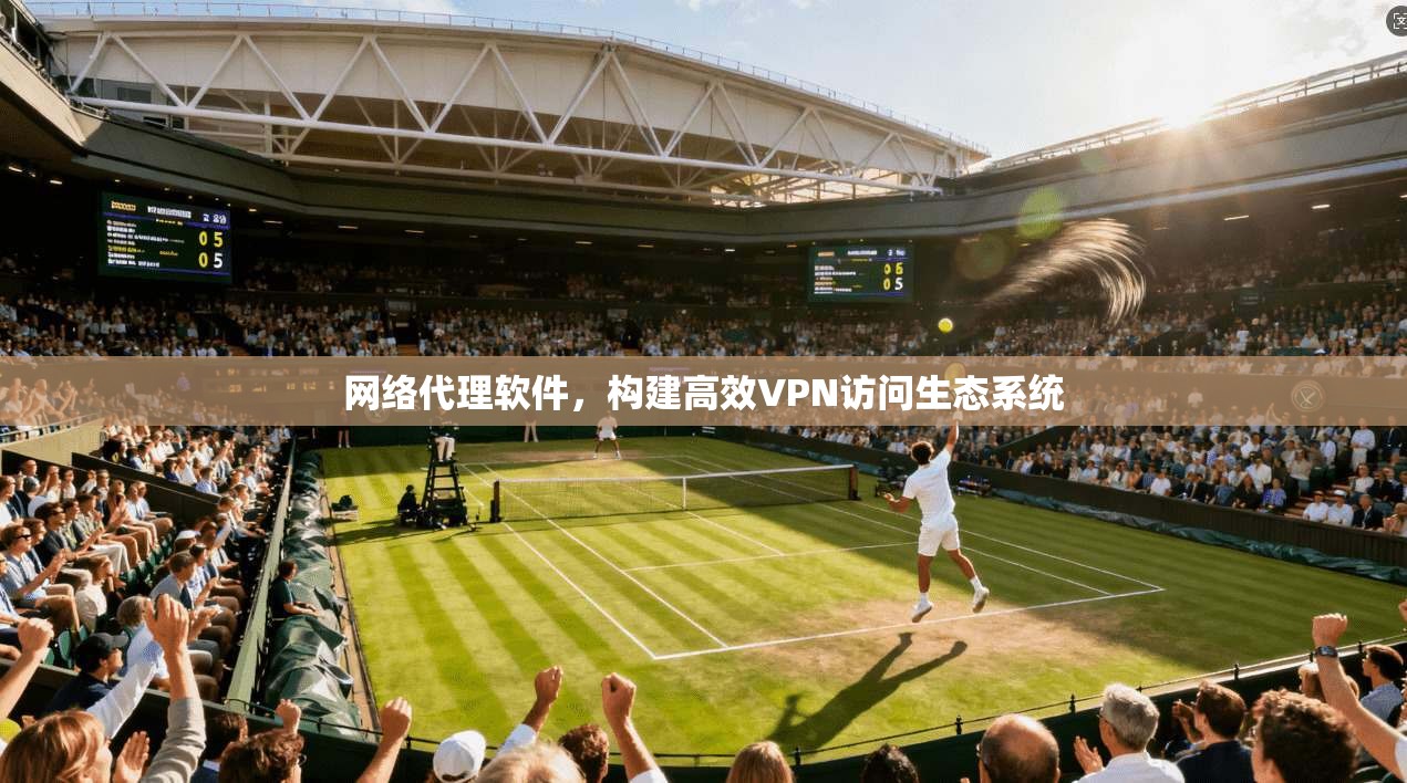 网络代理软件，构建高效VPN访问生态系统