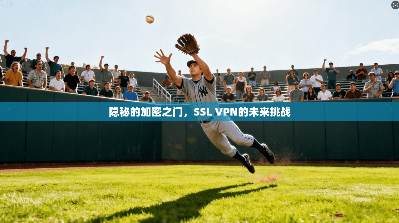 隐秘的加密之门，SSL VPN的未来挑战