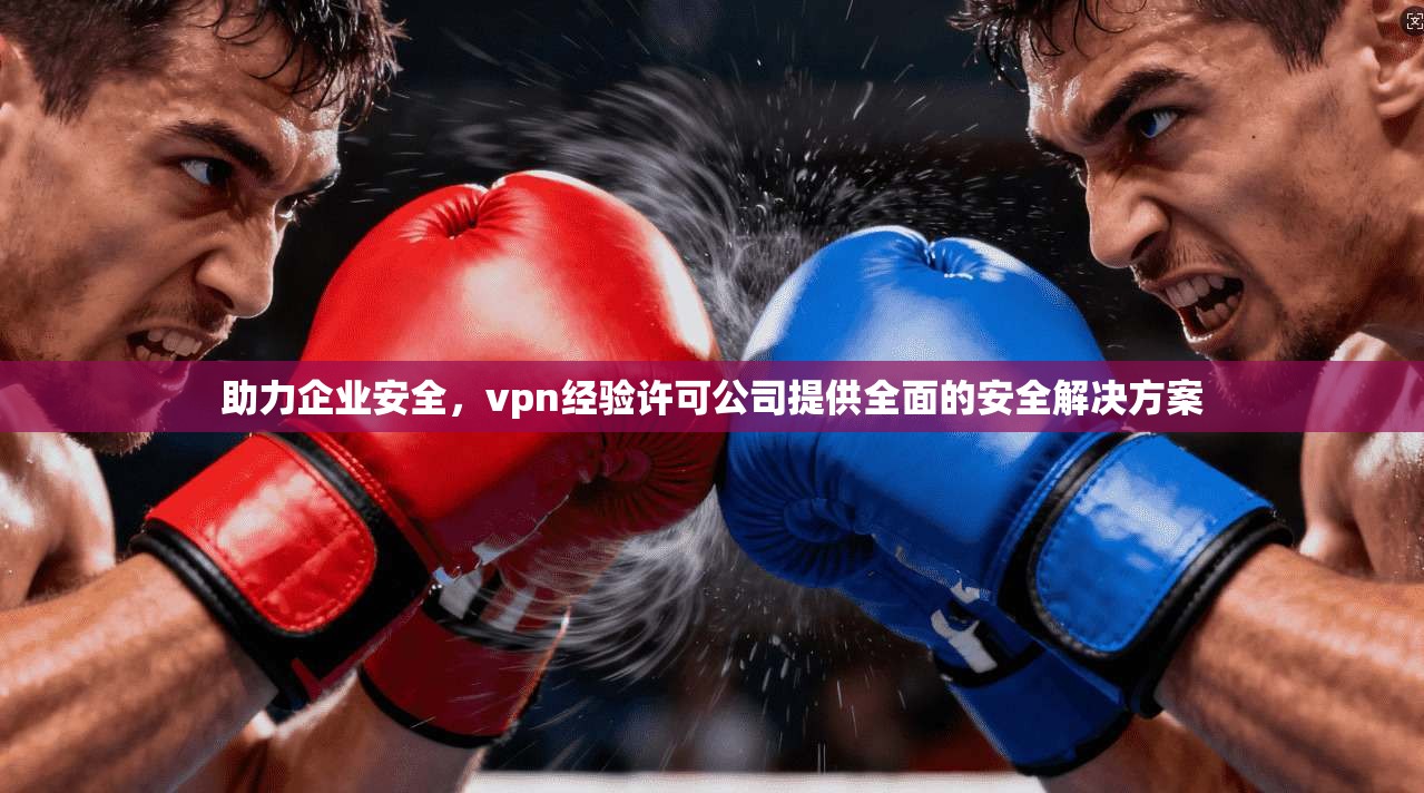 助力企业安全，vpn经验许可公司提供全面的安全解决方案