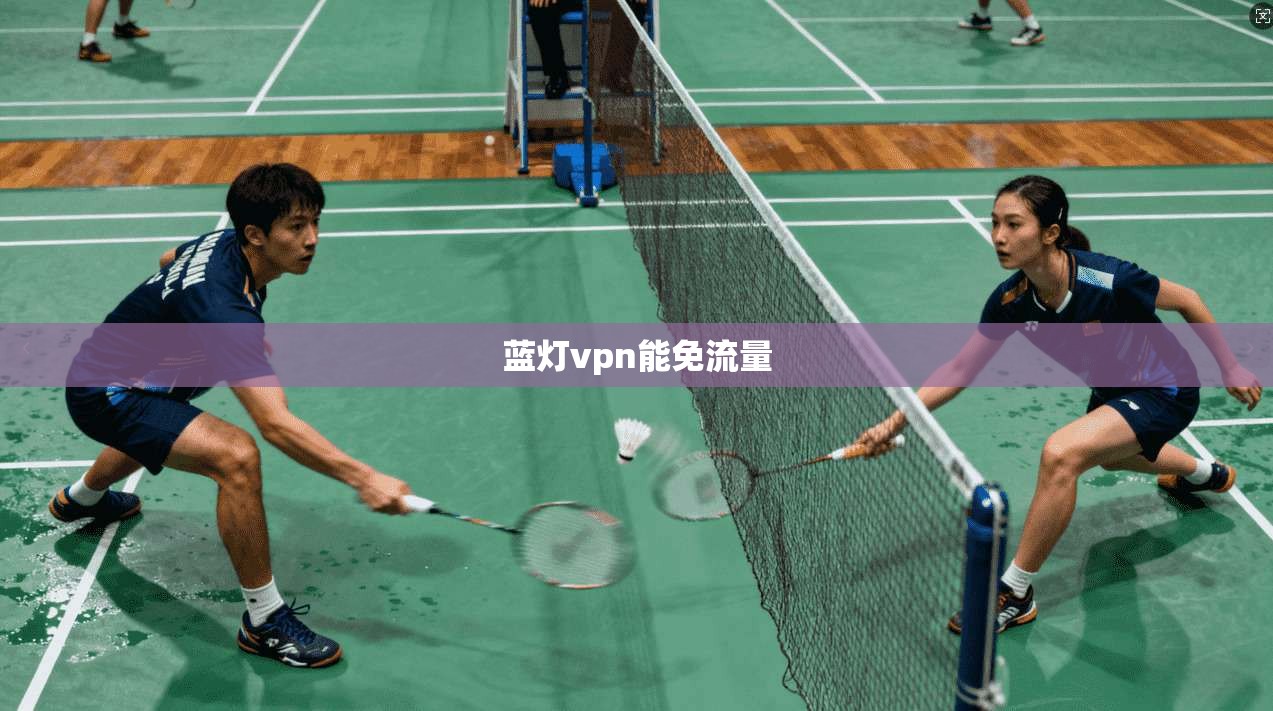 蓝灯vpn能免流量