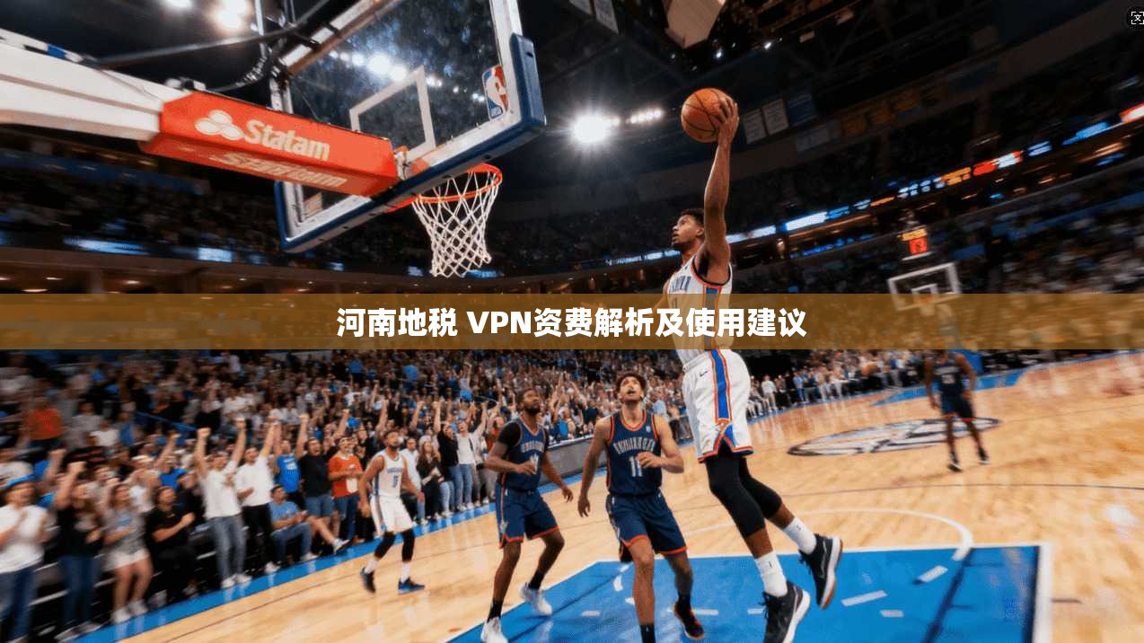 河南地税 VPN资费解析及使用建议