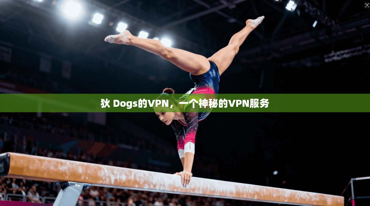 狄 Dogs的VPN，一个神秘的VPN服务