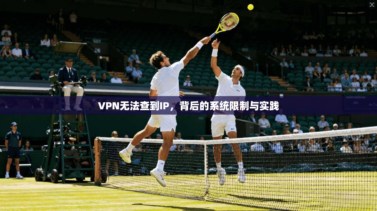 VPN无法查到IP，背后的系统限制与实践