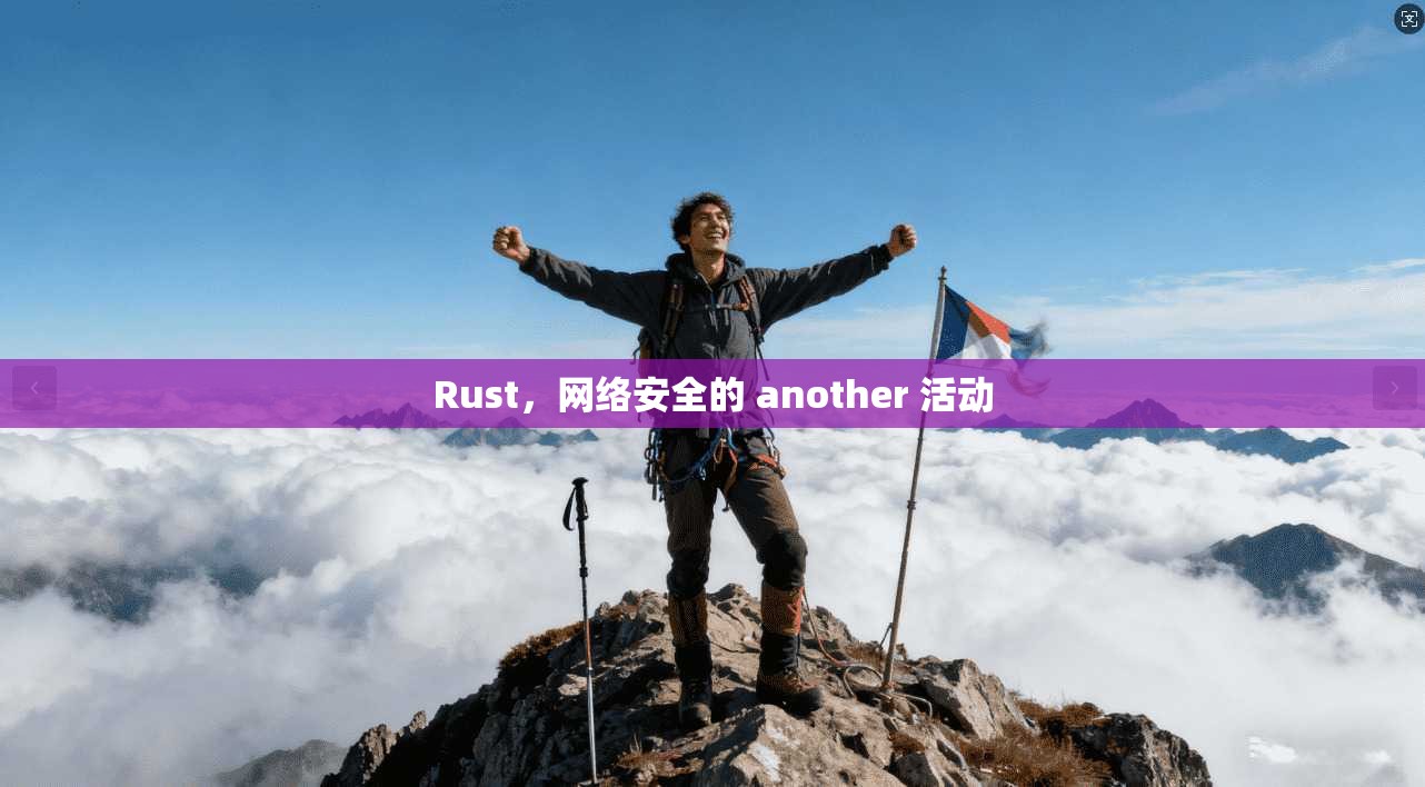 Rust，网络安全的 another 活动