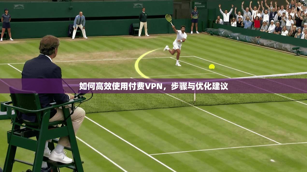 如何高效使用付费VPN，步骤与优化建议