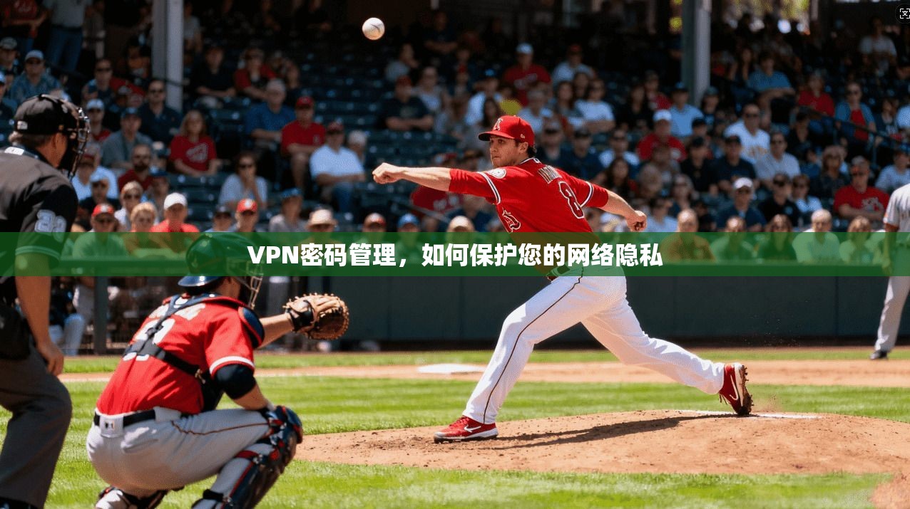VPN密码管理，如何保护您的网络隐私
