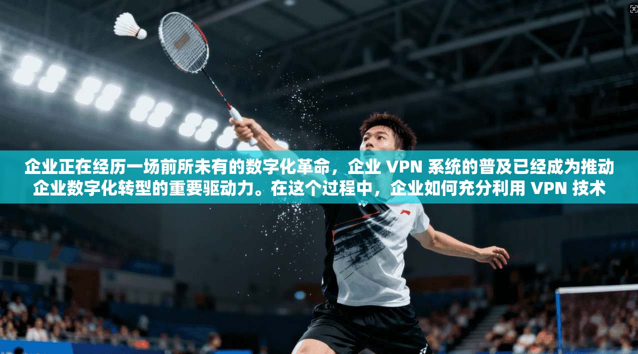 企业正在经历一场前所未有的数字化革命，企业 VPN 系统的普及已经成为推动企业数字化转型的重要驱动力。在这个过程中，企业如何充分利用 VPN 技术，提升自身业务能力，已经成为企业数字化转型的关键因素