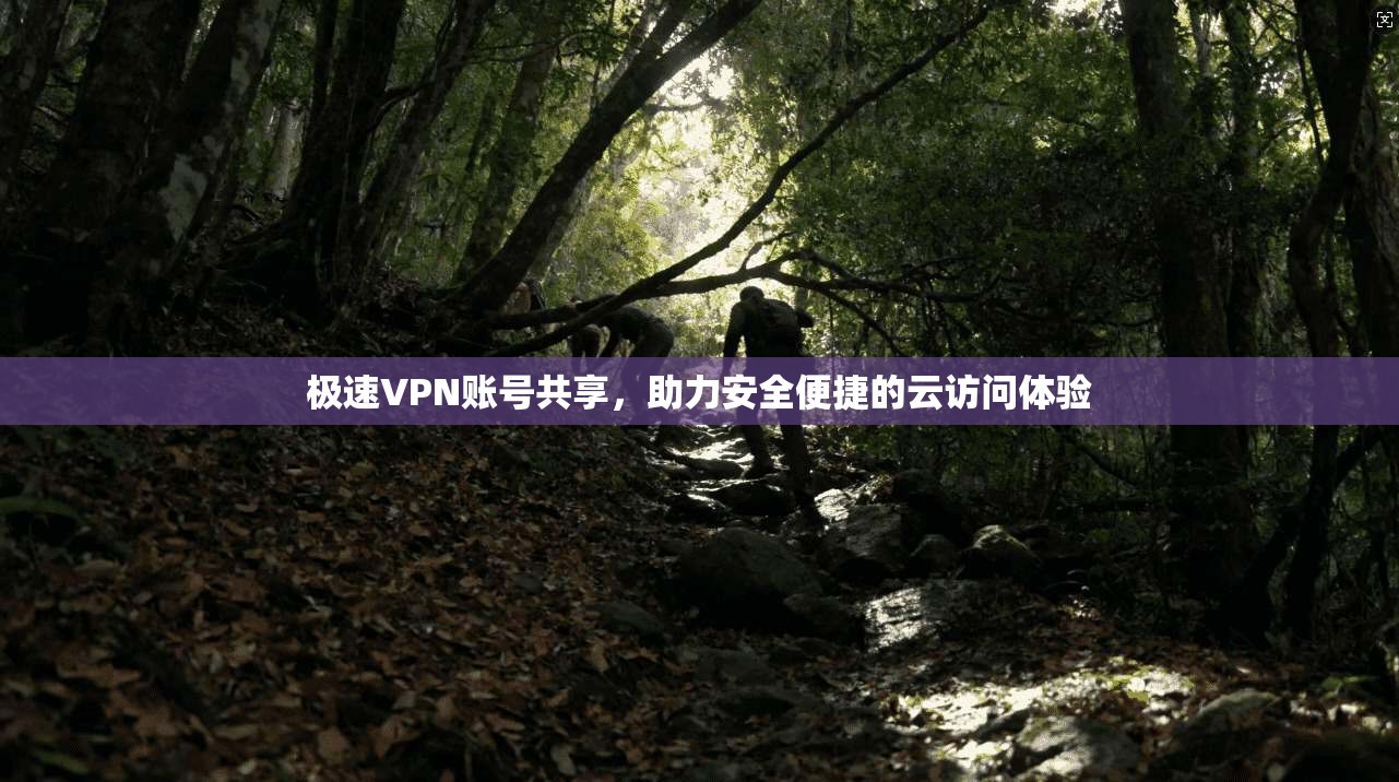 极速VPN账号共享，助力安全便捷的云访问体验