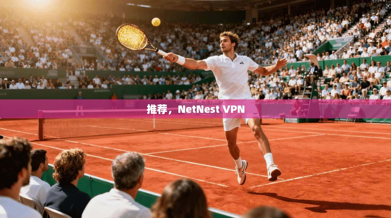 推荐，NetNest VPN