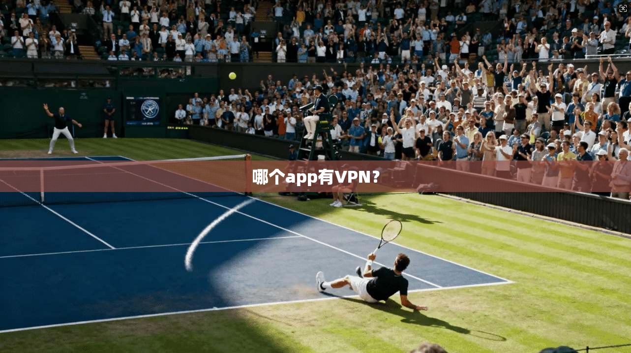 哪个app有VPN？
