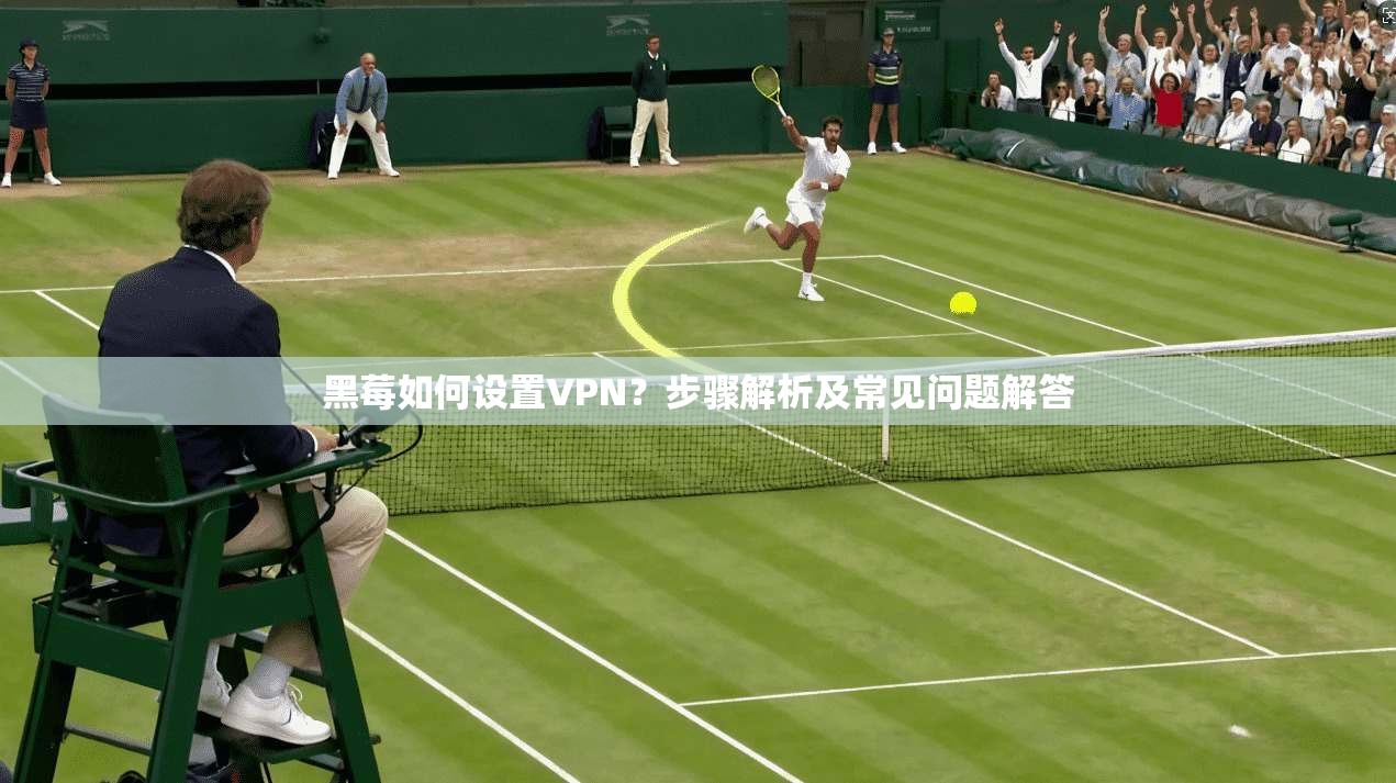 黑莓如何设置VPN？步骤解析及常见问题解答