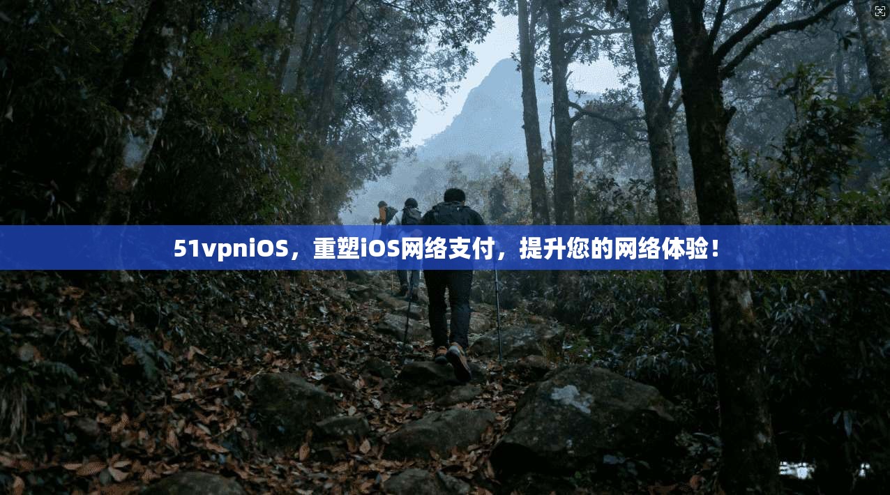 51vpniOS，重塑iOS网络支付，提升您的网络体验！