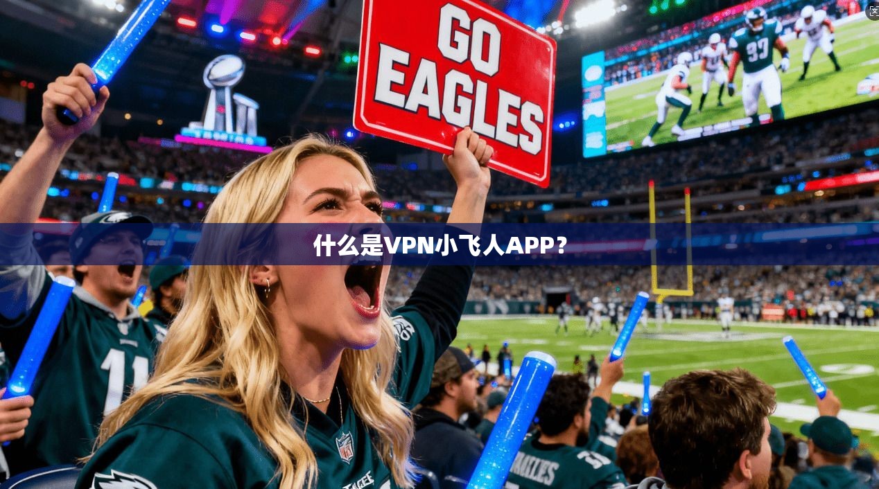 什么是VPN小飞人APP？