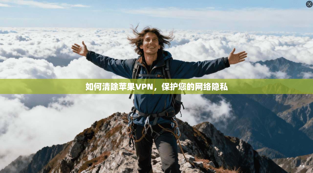 如何清除苹果VPN，保护您的网络隐私