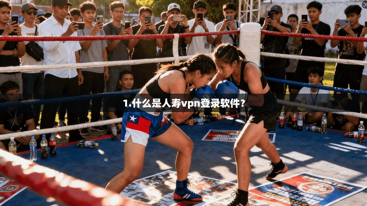 1.什么是人寿vpn登录软件？