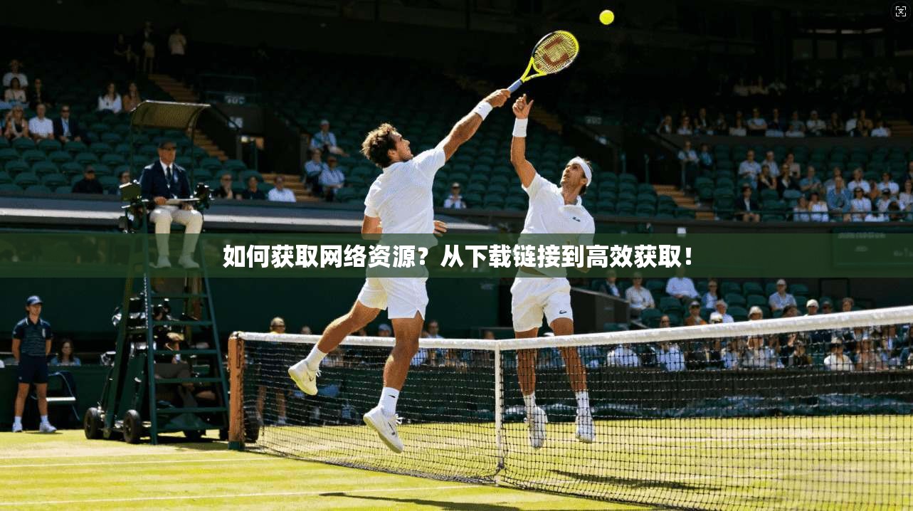 如何获取网络资源？从下载链接到高效获取！