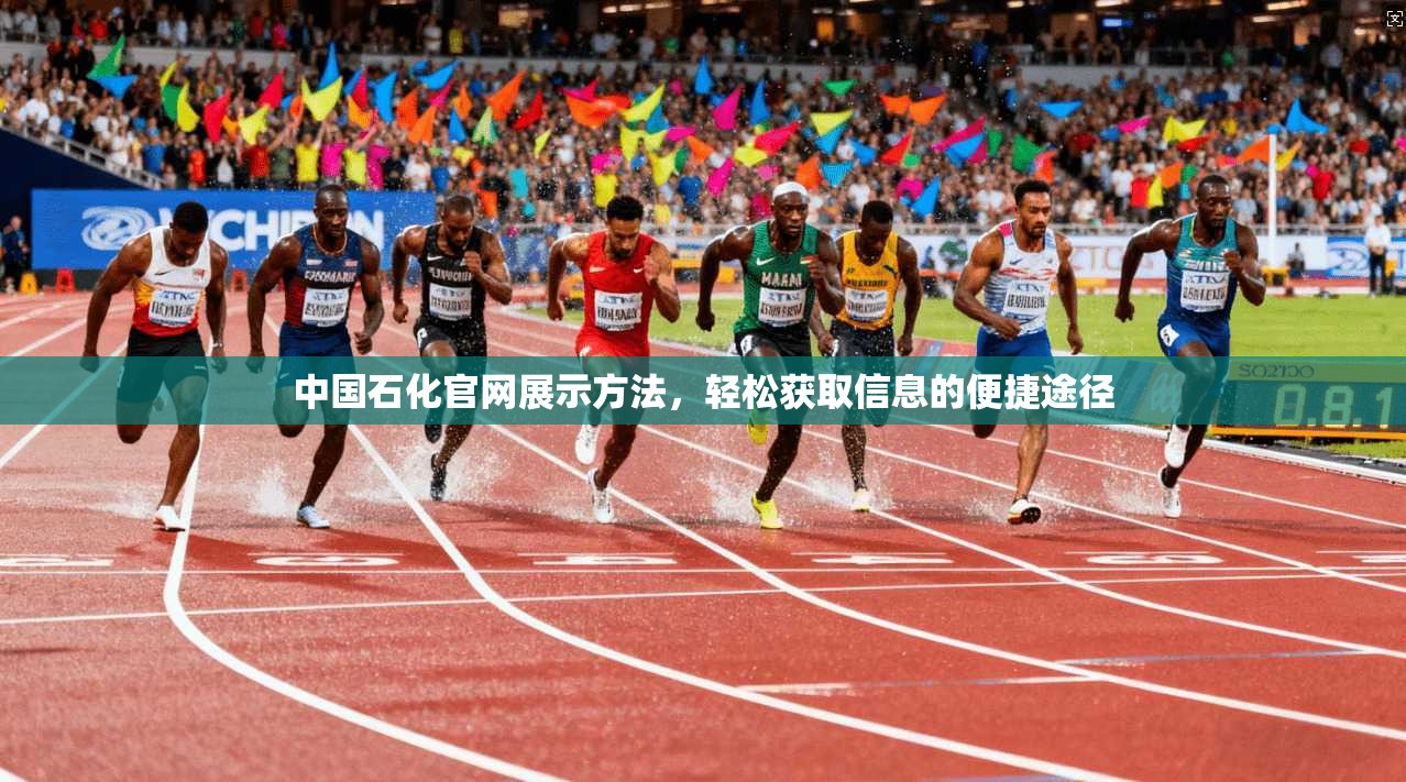 中国石化官网展示方法，轻松获取信息的便捷途径