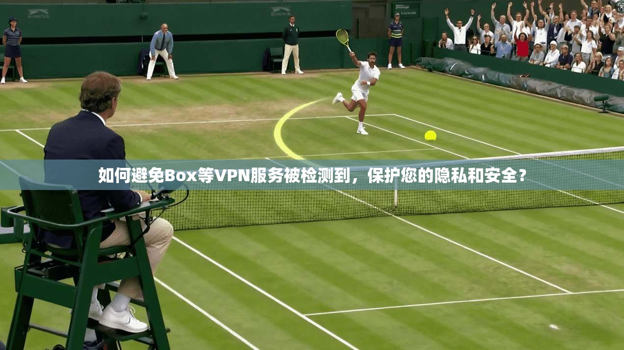 如何避免Box等VPN服务被检测到，保护您的隐私和安全？