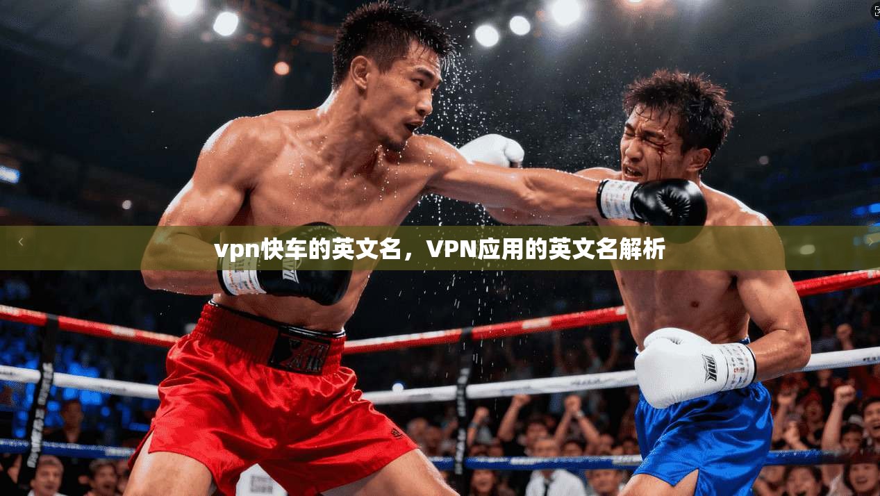 vpn快车的英文名，VPN应用的英文名解析