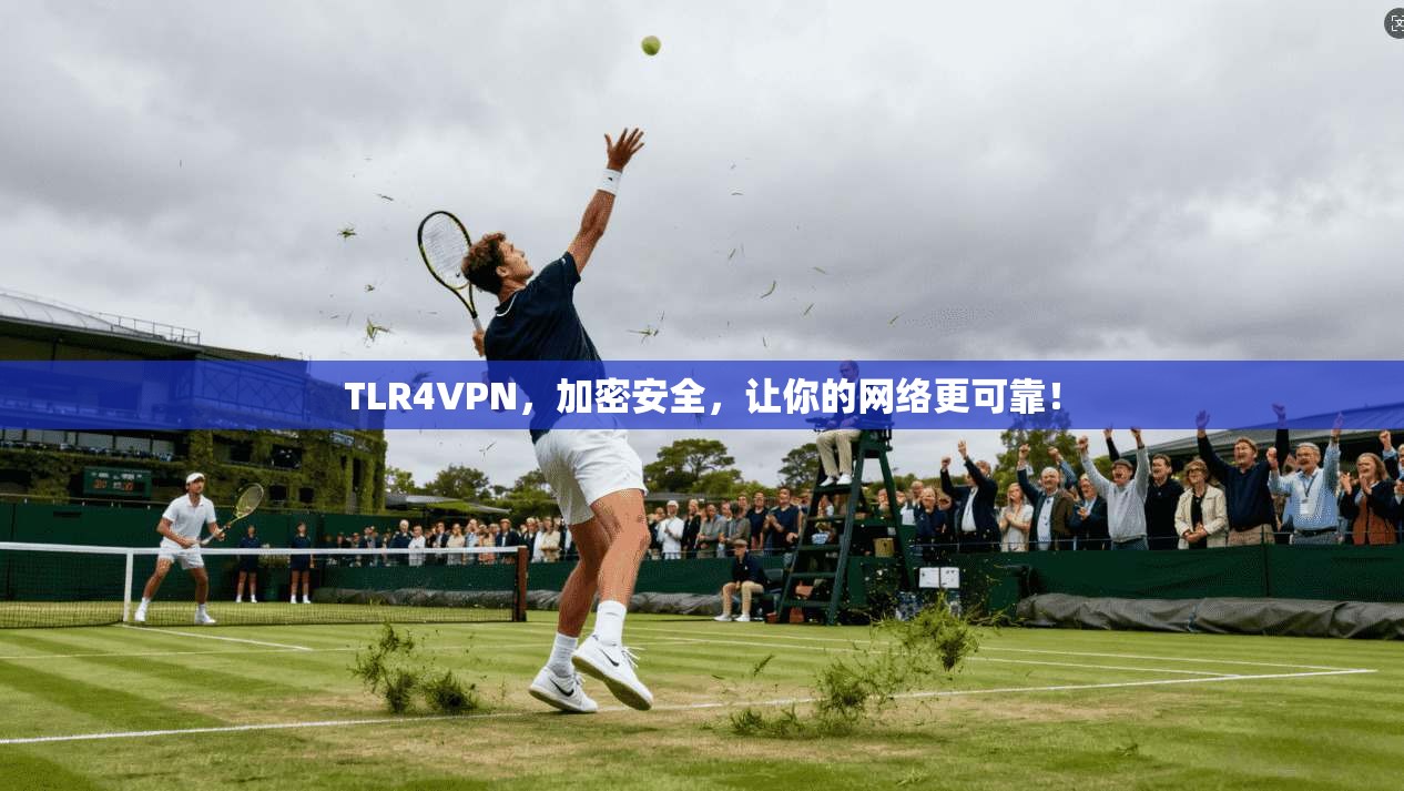 TLR4VPN，加密安全，让你的网络更可靠！