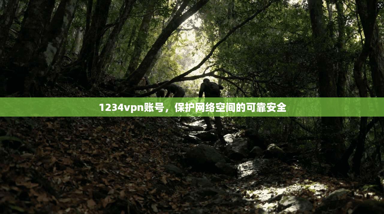 1234vpn账号，保护网络空间的可靠安全