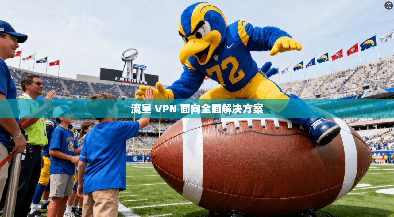 流星 VPN 面向全面解决方案
