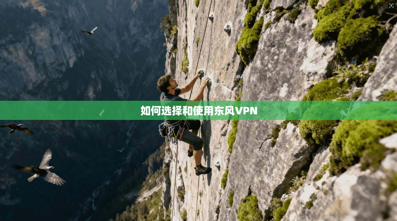 如何选择和使用东风VPN