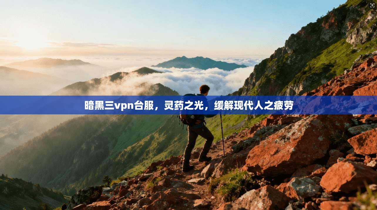 暗黑三vpn台服，灵药之光，缓解现代人之疲劳